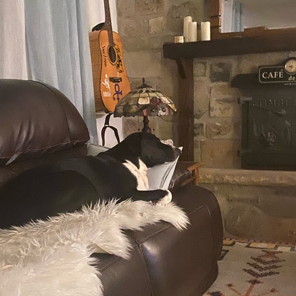 Meet your Posher, Aicha